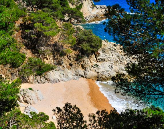 Cala d'en Carlos